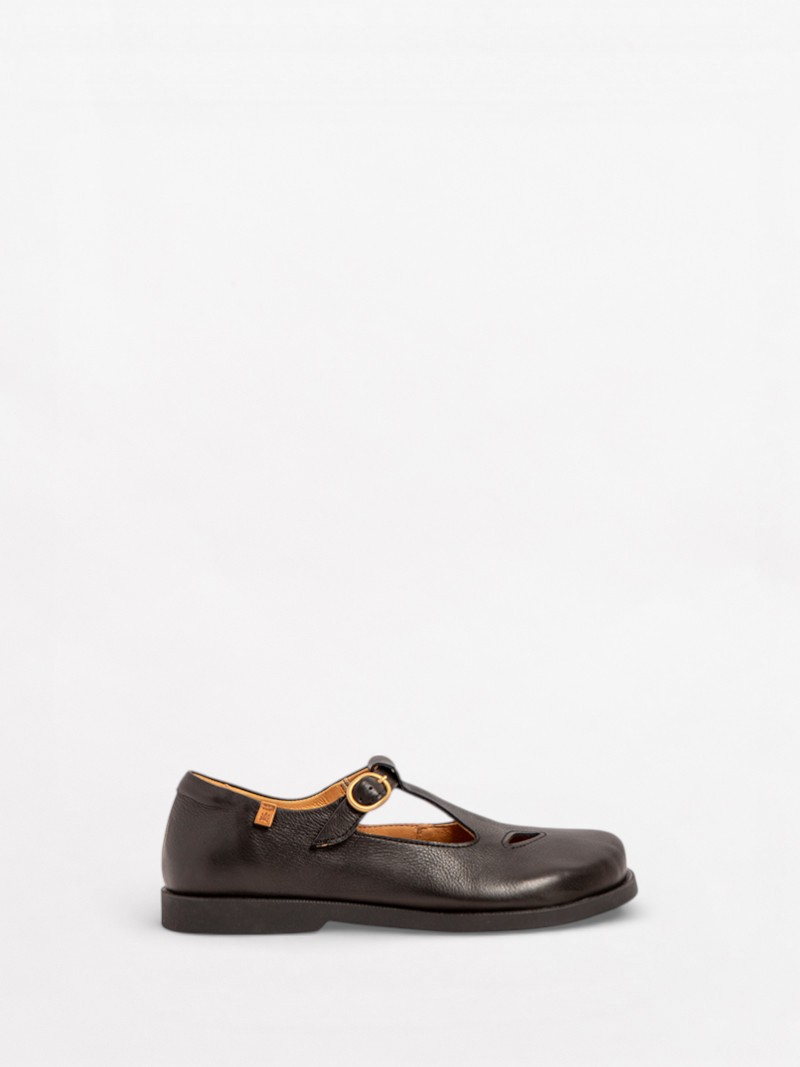 Arenisca N5873
